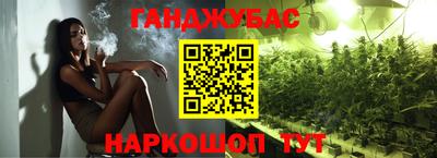 мдпв Камышлов