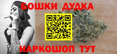мдпв Камышлов