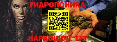 мдпв Камышлов