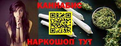 мдпв Камышлов