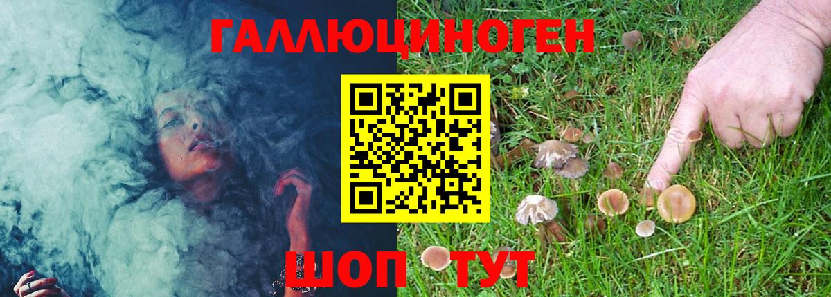 Усть-Джегута  Псилоцибиновые грибы мухоморы  Псилоцибиновые грибы Cubensis  Вход с VPN 