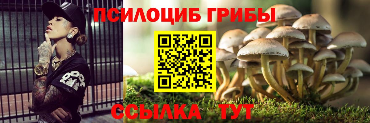 Галлюциногенные грибы GOLDEN TEACHER Усть-Джегута